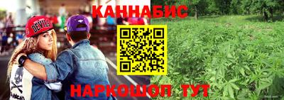 гашишное масло Аргун