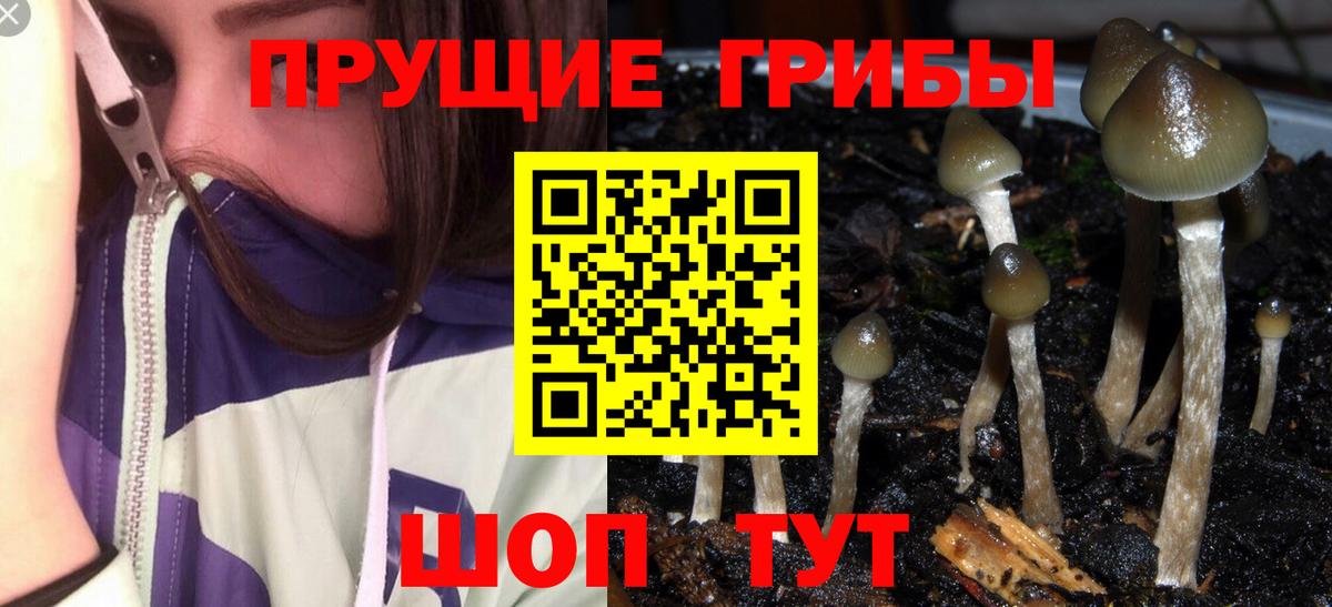 Галлюциногенные грибы MAGIC MUSHROOMS Белорецк